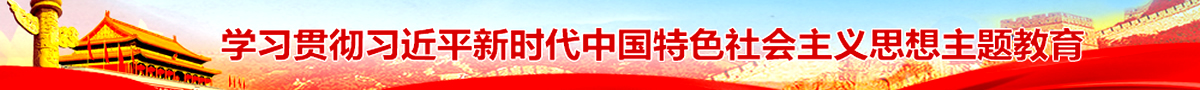 学习贯彻习近平新时代中国特色社会主义思想主题教育